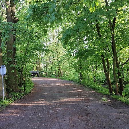Gospodarstwo Agroturystyczne Stary Mlyn Wilczkowice Michalowice  Buitenkant foto