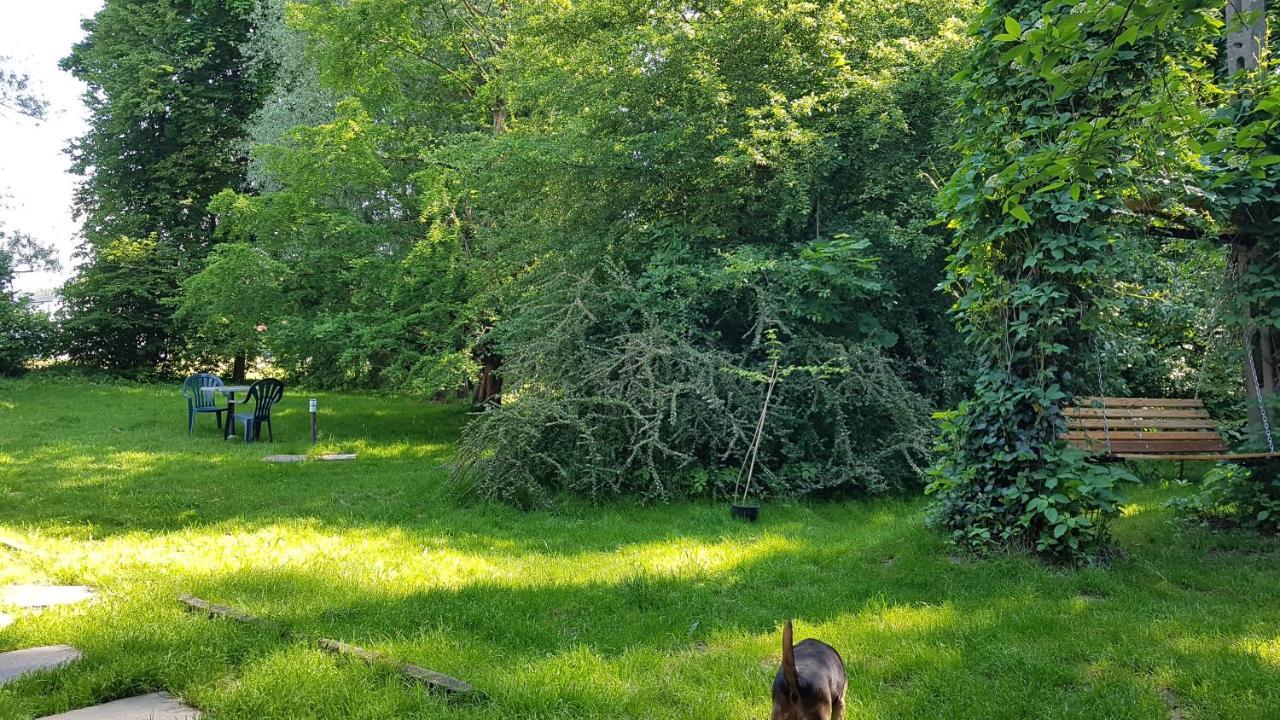Gospodarstwo Agroturystyczne Stary Mlyn Wilczkowice Michalowice  Buitenkant foto