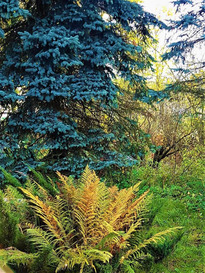 Gospodarstwo Agroturystyczne Stary Mlyn Wilczkowice Michalowice  Buitenkant foto