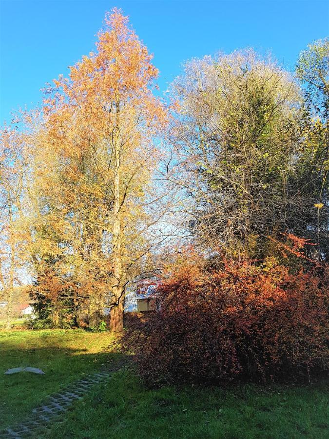 Gospodarstwo Agroturystyczne Stary Mlyn Wilczkowice Michalowice  Buitenkant foto