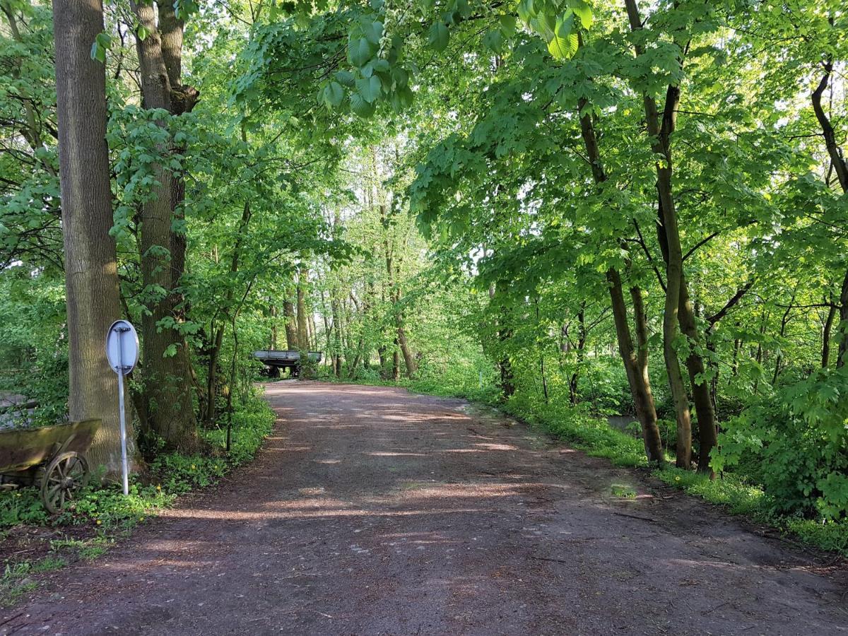 Gospodarstwo Agroturystyczne Stary Mlyn Wilczkowice Michalowice  Buitenkant foto