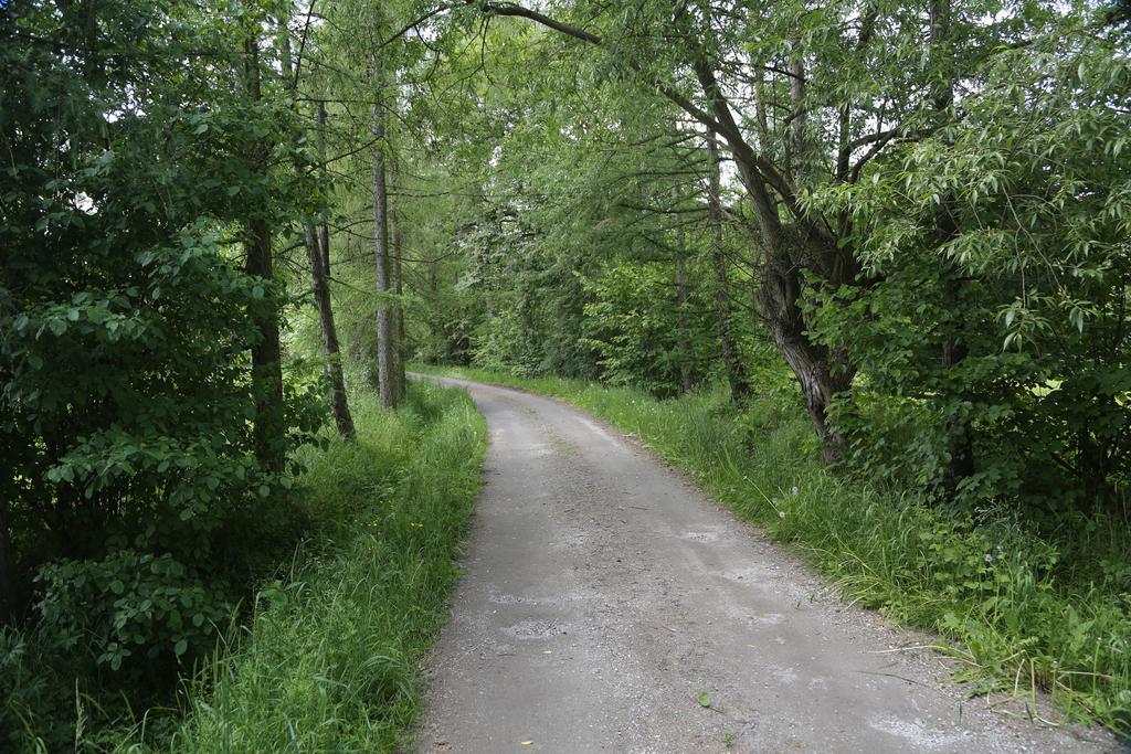 Gospodarstwo Agroturystyczne Stary Mlyn Wilczkowice Michalowice  Buitenkant foto