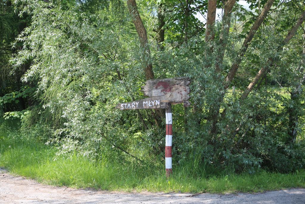 Gospodarstwo Agroturystyczne Stary Mlyn Wilczkowice Michalowice  Buitenkant foto