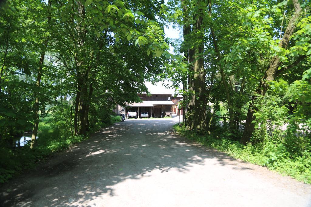Gospodarstwo Agroturystyczne Stary Mlyn Wilczkowice Michalowice  Buitenkant foto