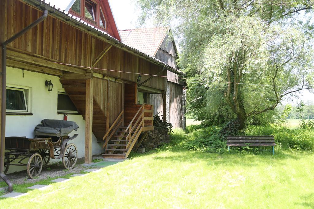 Gospodarstwo Agroturystyczne Stary Mlyn Wilczkowice Michalowice  Buitenkant foto