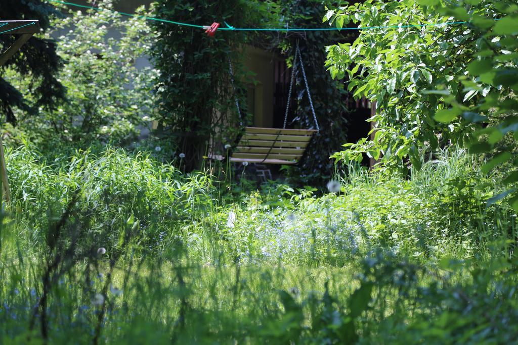 Gospodarstwo Agroturystyczne Stary Mlyn Wilczkowice Michalowice  Buitenkant foto