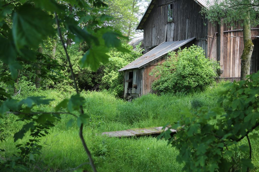 Gospodarstwo Agroturystyczne Stary Mlyn Wilczkowice Michalowice  Buitenkant foto