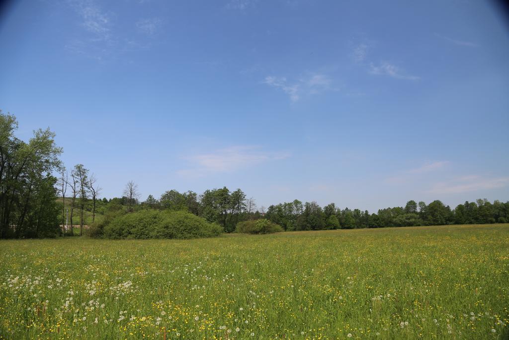 Gospodarstwo Agroturystyczne Stary Mlyn Wilczkowice Michalowice  Buitenkant foto