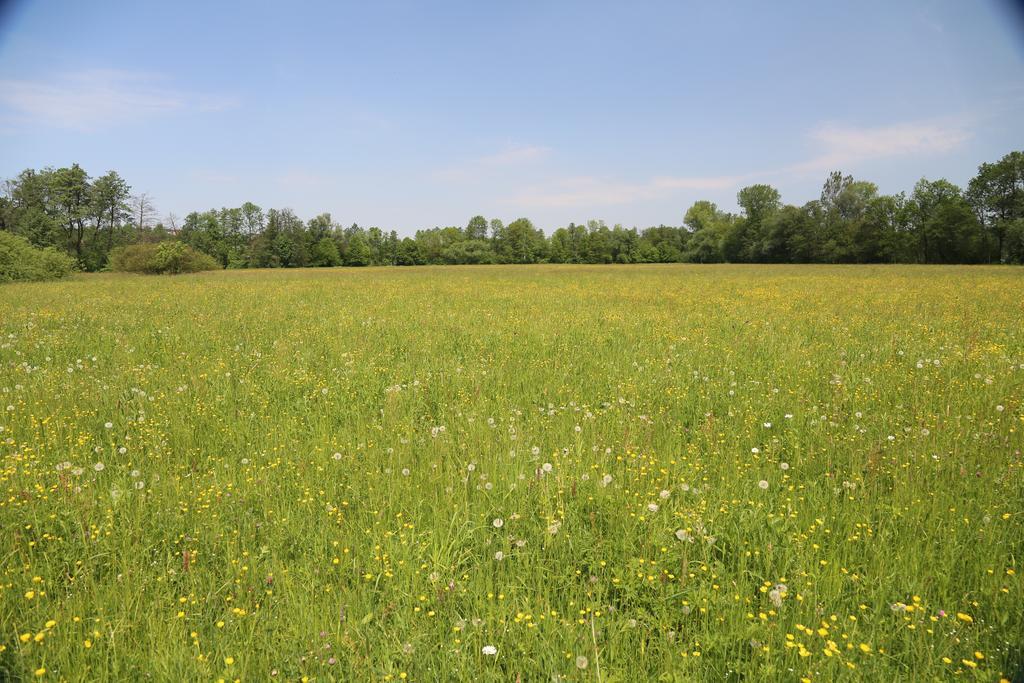 Gospodarstwo Agroturystyczne Stary Mlyn Wilczkowice Michalowice  Buitenkant foto